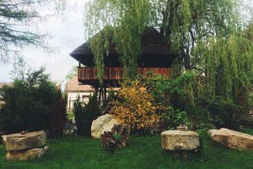 Пансион Casa Ott