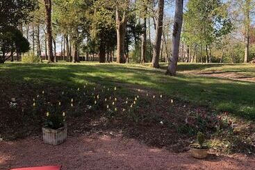 פנסיון Château De Charmeil  Vichy Chambres D Hôtes