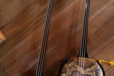 Guest House Connect   Hostel