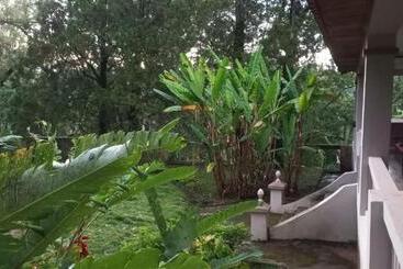 ホテル Fazenda Da Roseta   Turismo Rural E Passeios A Cavalo