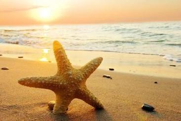 פנסיון Curzon Lodge