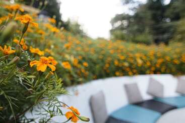 هتل Johnson Lodge & Spa