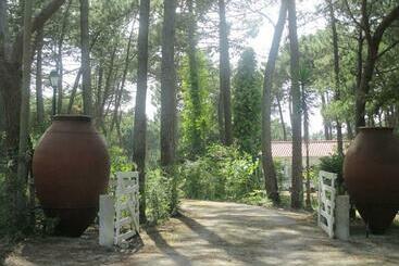 فندق Casa Do Páteo