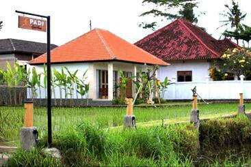 פנסיון Padi Guest House