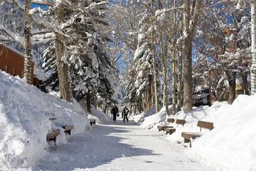 호텔 Chateau Aspen