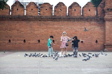 Imm Hotel Thaphae Chiang Mai