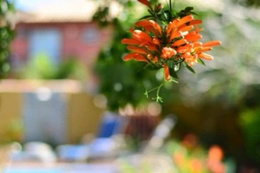 هتل Pousada Do Namorado