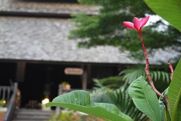 فندق Rainforest Chiangmai