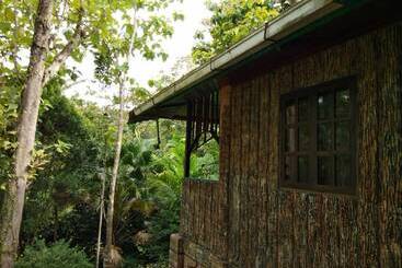 فندق Sepilok Jungle Resort