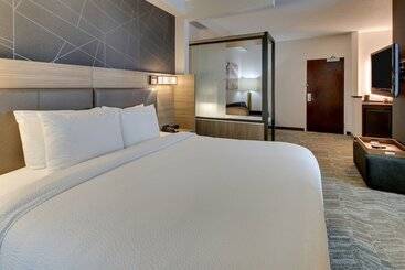 ホテル Springhill Suites By Marriott Birmingham Downtown At Uab
