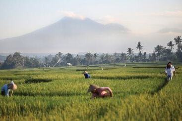 ویلا Soori Bali
