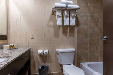 فندق Best Western Plus South Edmonton Inn & Suites