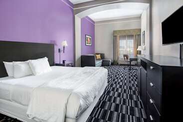 酒店 La Quinta By Wyndham Alamo Mcallen East