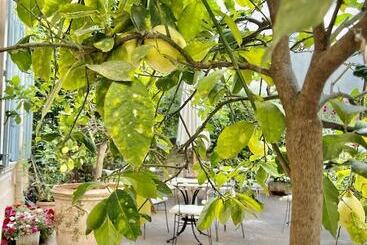 בית מלון כפרי Chanteclair