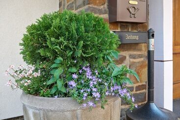 Haus Mooren, Hotel Garni