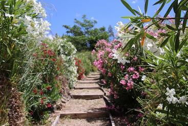 هتل Molino Cuatro Paradas