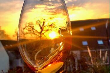 Montana Hotel Köln Bonn Airport