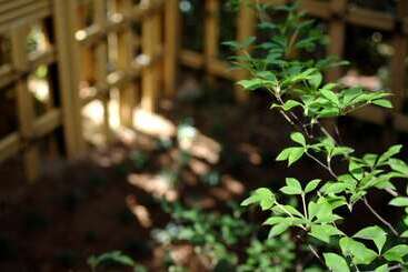 בית מלון כפרי Yoshidaya Sannoukaku