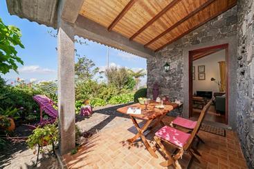 Quinta Devónia