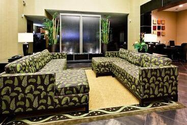 Holiday Inn Express Hotel & Suites Dallas South   Desoto, An Ihg