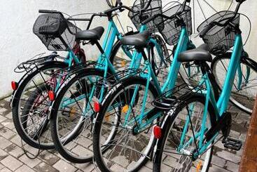 Отель Vila Swe Sar