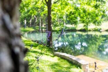 リゾートホテル The Springs Retreat