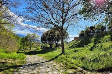 Отель Rural El Molino