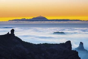 Apartamentos Gran Amadores