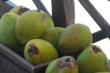 هتل Hemingway Romantic Ecoresort