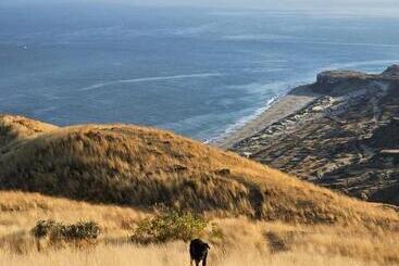 پانسیون Casa Norte North Beach