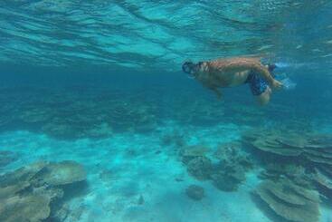 ペンション Leisure Inn Guest House