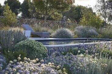 אתר נופש Château Capitoul