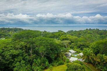 The Sutton   Boutique Jungle Experience