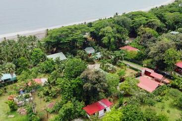 هاستل Casa Blossom   Beach Paradise Retreat, Fully Equipped, Holiday Home