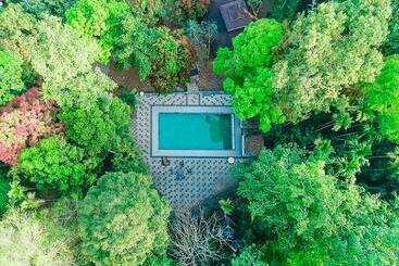 酒店 Vythiri Wild Forest Resort