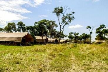 ホテル Serengeti Savannah Camps