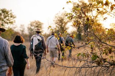فندق Simbavati Trails Camp