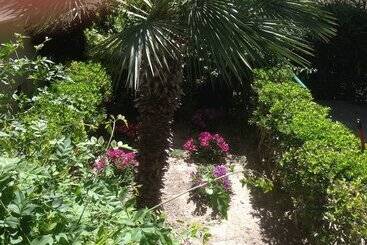 شقة فندقية Anita Apart