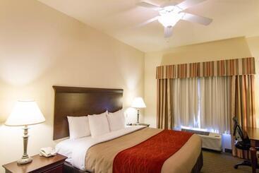 فندق Comfort Inn & Suites Airport