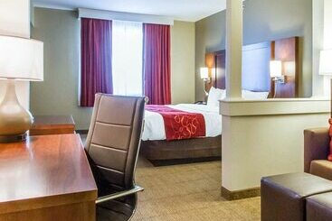 فندق Comfort Suites