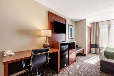 酒店 Comfort Suites Tuscaloosa Near University