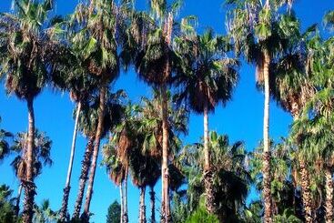 בית מלון כפרי Oasis