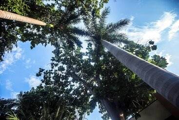 فندق Plaza Mirador