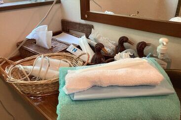 בית מלון כפרי Japanese Style Pension Kotorinoki