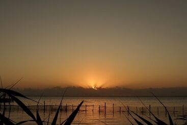 בית מלון כפרי Solaria Villas