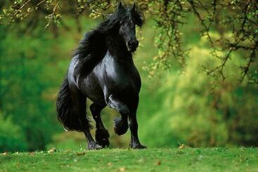 هتل To Archontiko Guesthouse Villa