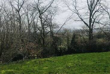 酒店 Panacée Guesthouses