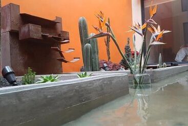 هتل Coyoacaninn Guesthouse