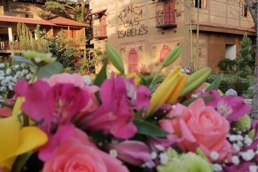 酒店 Finca Las Isabeles