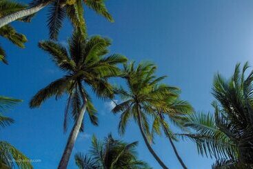 酒店 Hulhudheli Inn